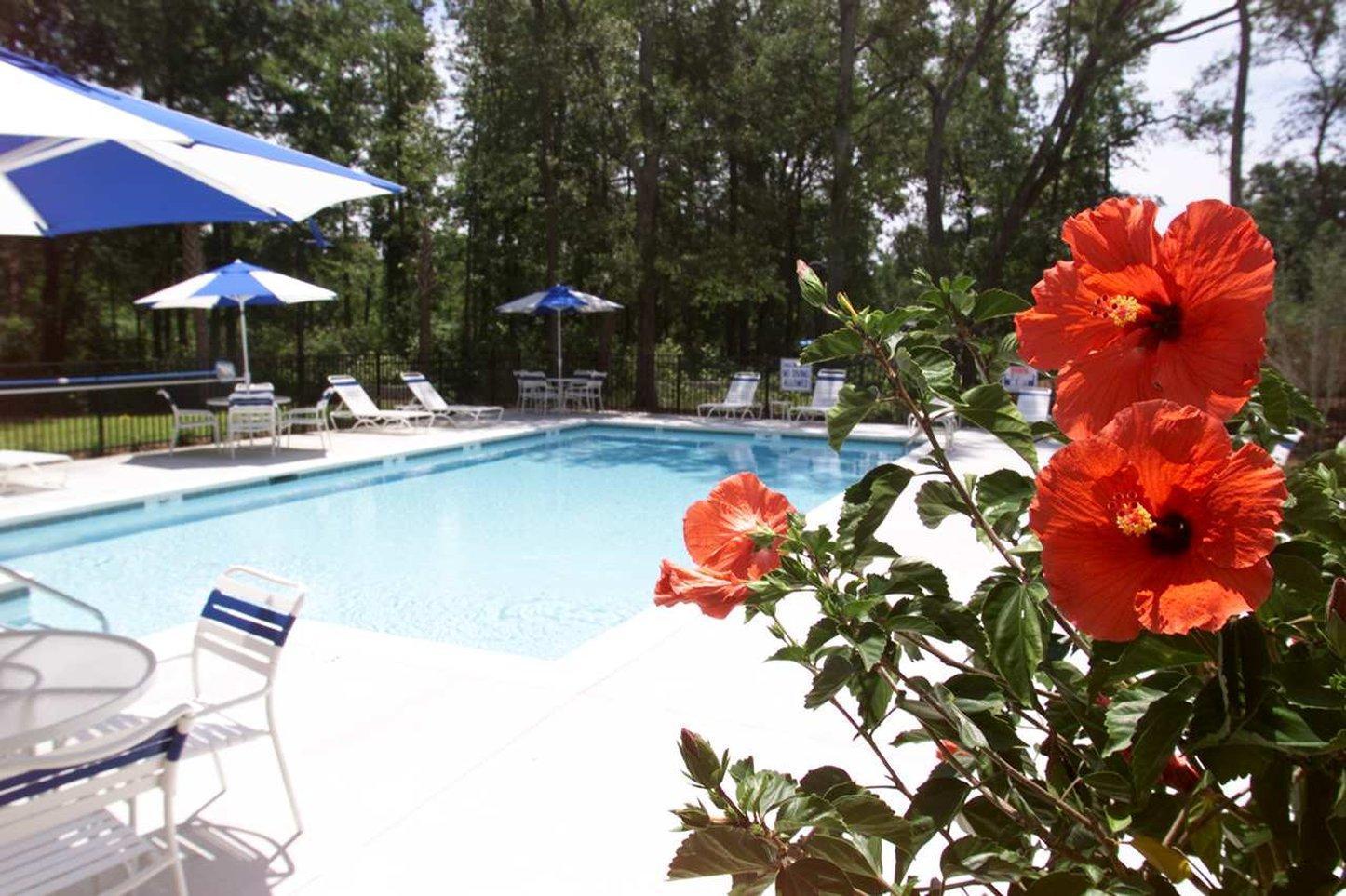 Hampton Inn Charleston-Daniel Island מראה חיצוני תמונה